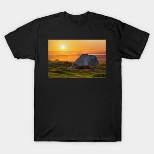 Arthurs Stone, Cefn Bryn, Gower T-Shirt